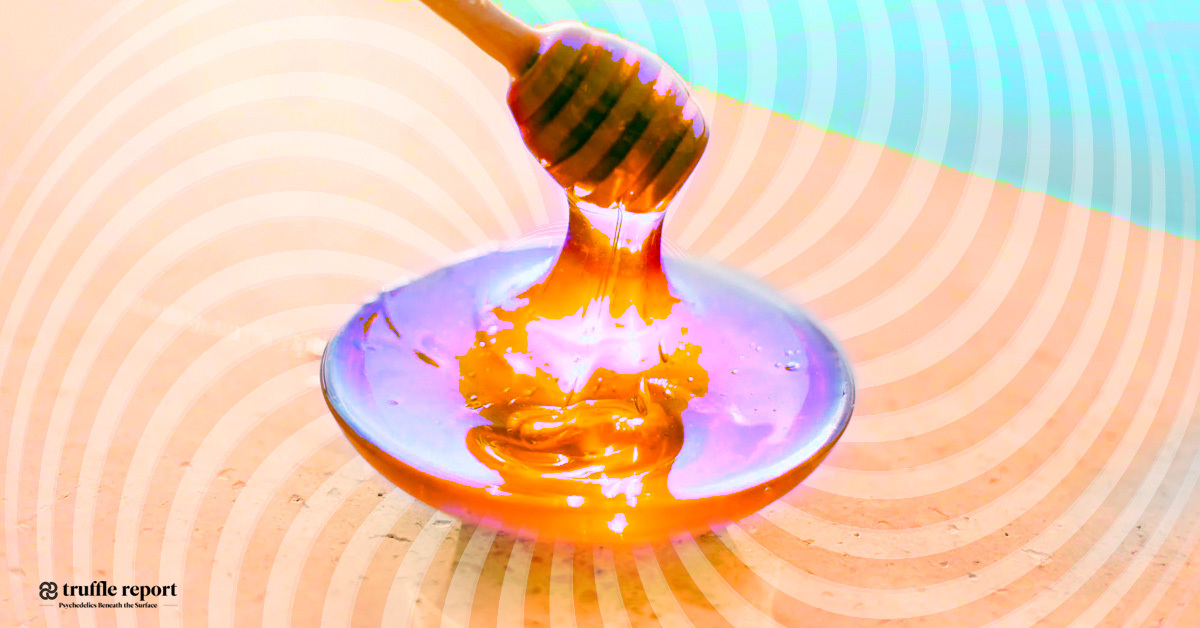 Psilocybin Blue Honey Featured Image
