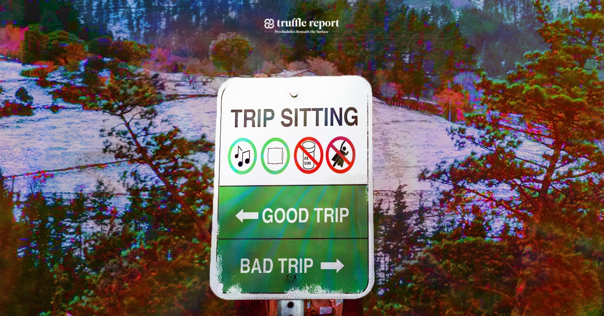 Trip Sitting Featured Image