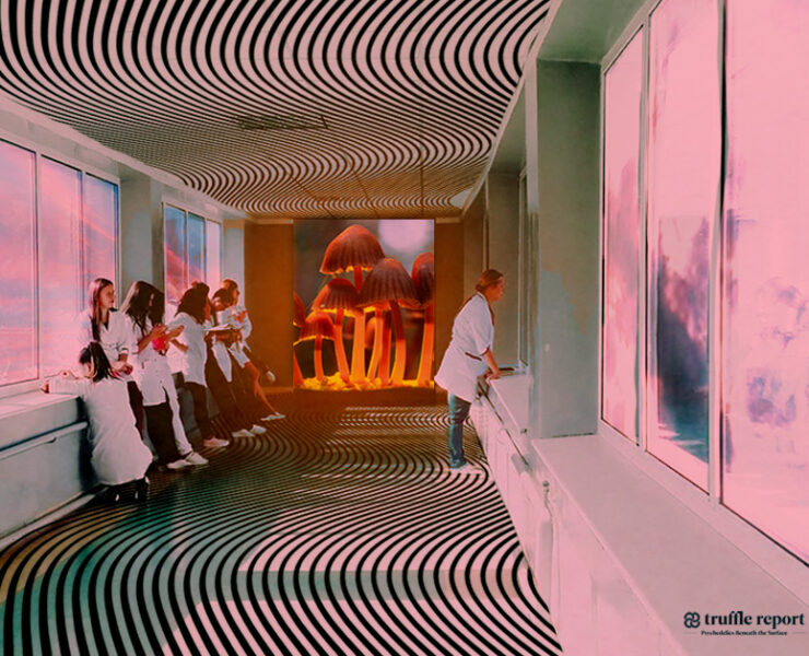 University Health Network Psychedelic Research Featured Image Hospital