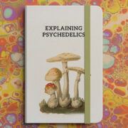 Explaining Psychedelics Image