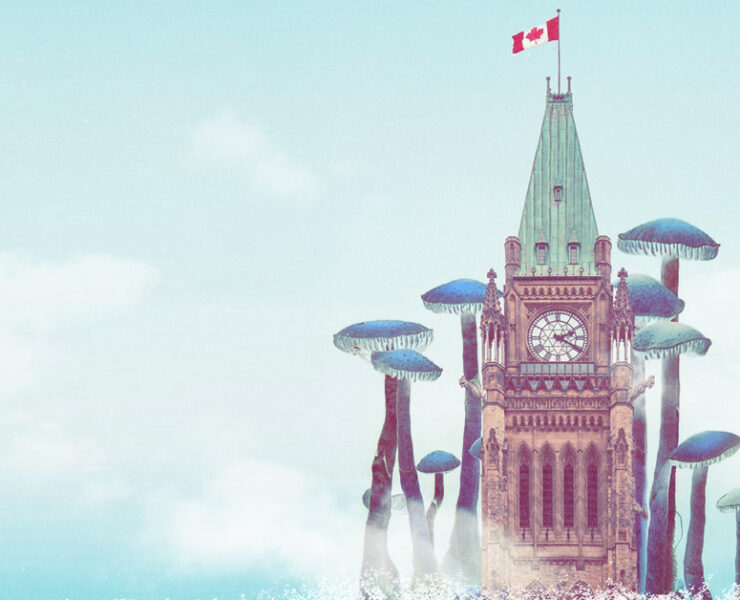 Canadian Psilocybin Parliament Image